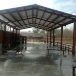 photo (1)